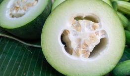 古茗吃瓜最新爆料图片,最新爆料图片揭秘幕后真相