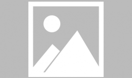 动漫后宫动漫,梦幻世界中的权力与爱情角逐